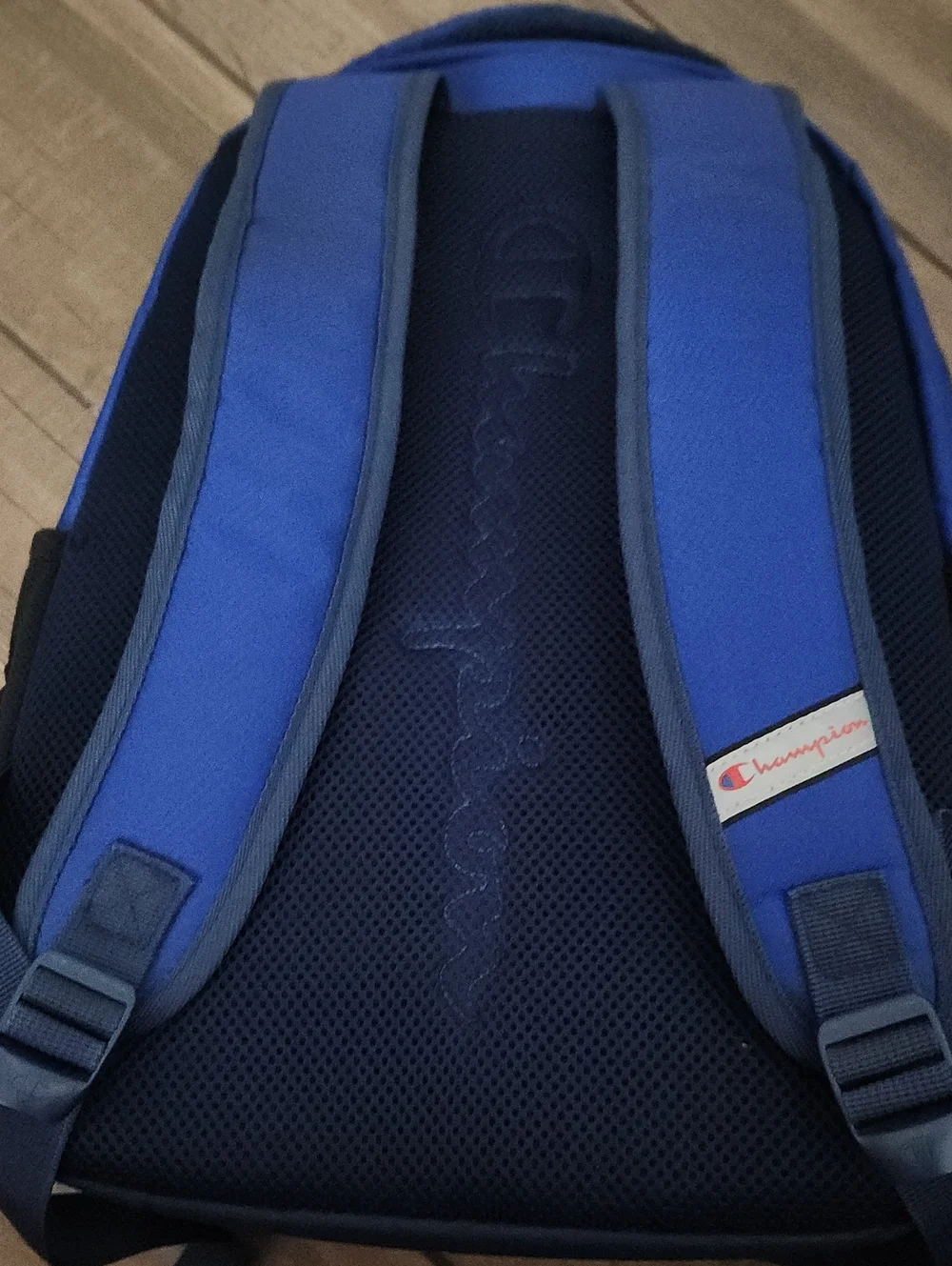 Champion Blue and Navy Men's Backpack with White Accents